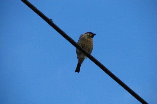 Being alone and your mental health