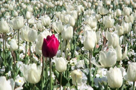 Stigma and your Mental Health